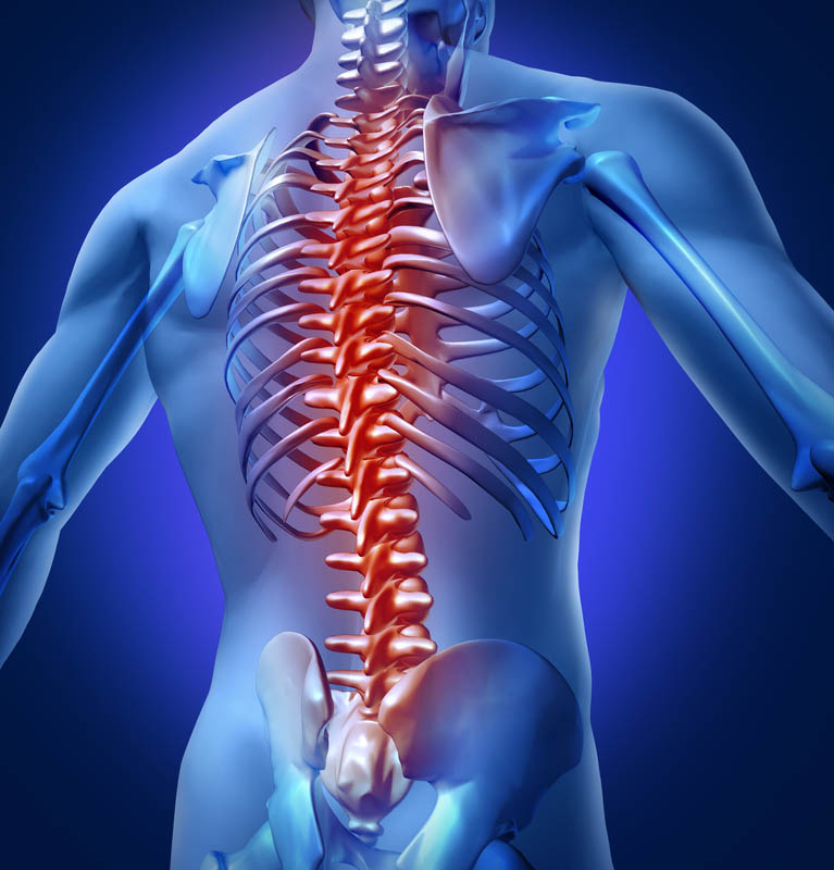 Human-Back-Pain human body